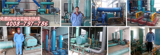 污水處理羅茨風(fēng)機(jī) 污水處理羅茨風(fēng)機(jī)