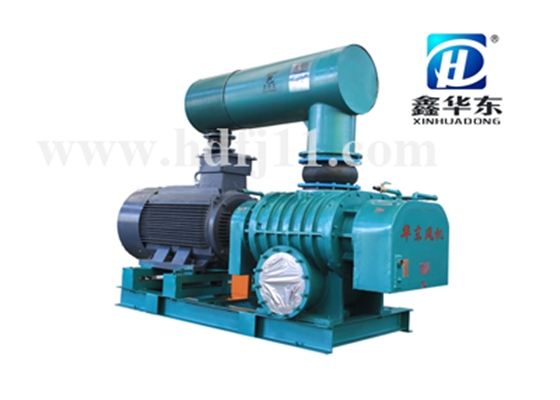 氣力輸送羅茨風機（直聯）