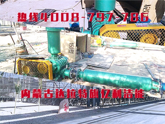 羅茨鼓風(fēng)機(jī) 羅茨鼓風(fēng)機(jī)