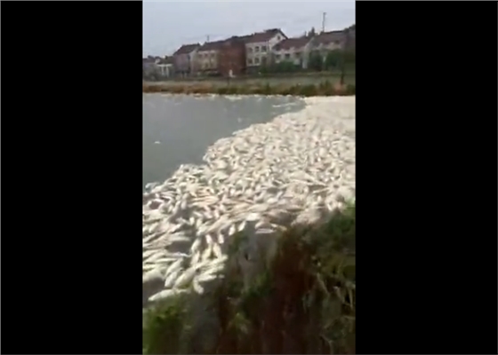 QQ圖片20170614094730.png QQ圖片20170614094730.png