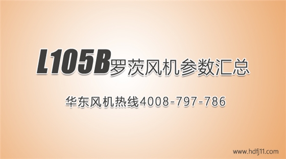 L105b羅茨風(fēng)機(jī).jpg L105b羅茨風(fēng)機(jī).jpg