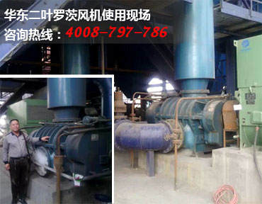 二葉羅茨風(fēng)機(jī)現(xiàn)場(chǎng)圖片 二葉羅茨風(fēng)機(jī)現(xiàn)場(chǎng)圖片