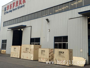 羅茨風(fēng)機包裝 羅茨風(fēng)機包裝