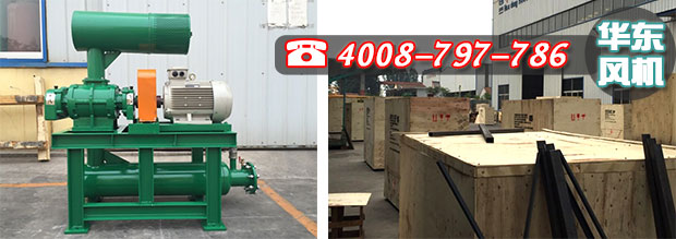 馬來西亞密集型羅茨風(fēng)機與包裝 馬來西亞密集型羅茨風(fēng)機與包裝