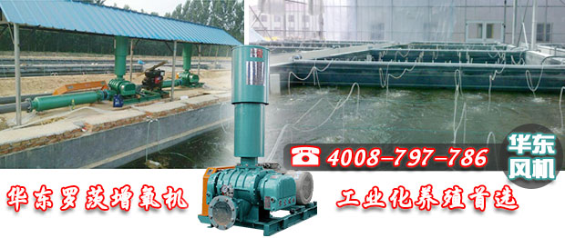 羅茨增氧機(jī) 羅茨增氧機(jī)