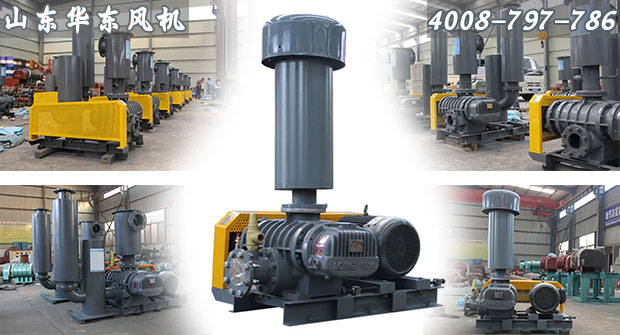 魯氏鼓風(fēng)機 魯氏鼓風(fēng)機