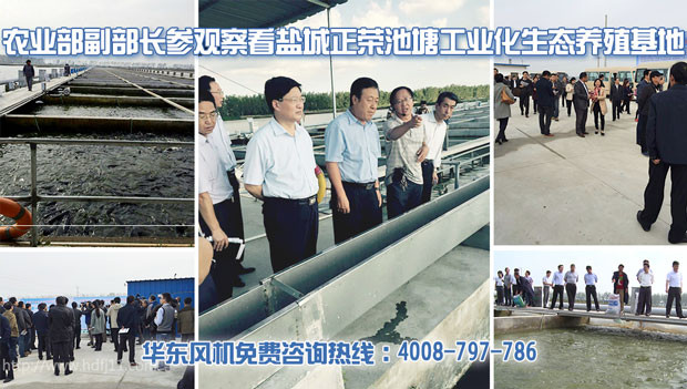 華東羅茨式增氧機 華東羅茨式增氧機