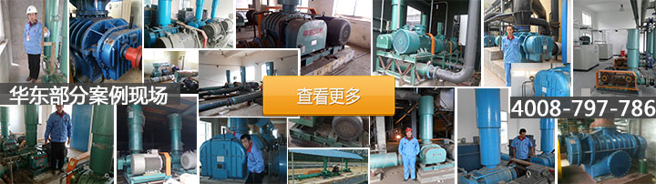 羅茨風(fēng)機(jī)使用案例 羅茨風(fēng)機(jī)使用案例