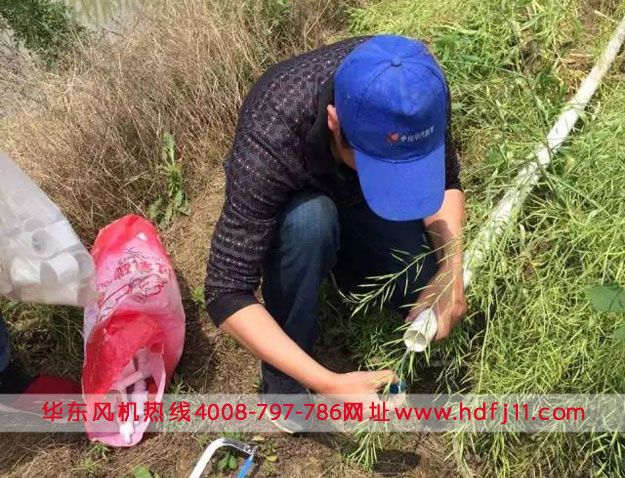 鱖魚(yú)養(yǎng)殖微孔曝氣增氧管路.jpg 鱖魚(yú)養(yǎng)殖微孔曝氣增氧管路.jpg