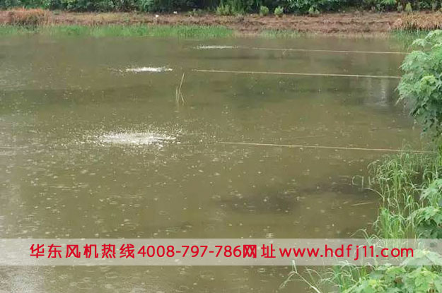 微孔曝氣 微孔曝氣