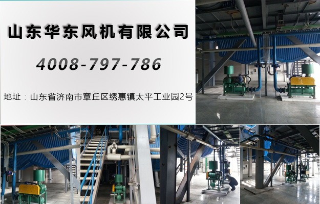 密集型羅茨風機 密集型羅茨風機