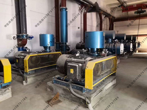 三葉羅茨風(fēng)機振動值 三葉羅茨風(fēng)機振動值