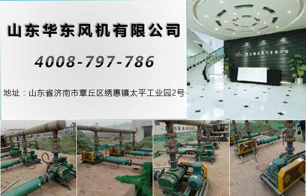 羅茨風(fēng)機(jī) 羅茨風(fēng)機(jī)