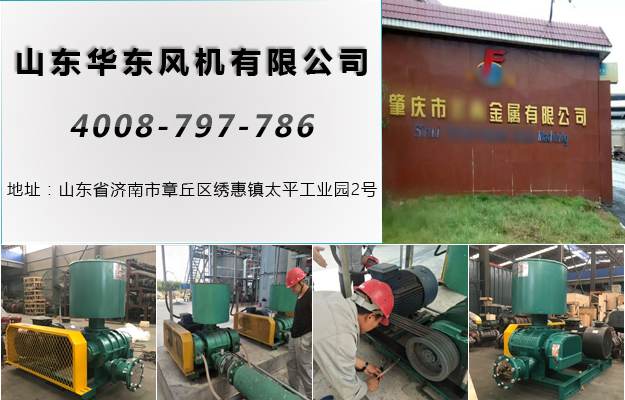 羅茨風(fēng)機(jī) 羅茨風(fēng)機(jī)