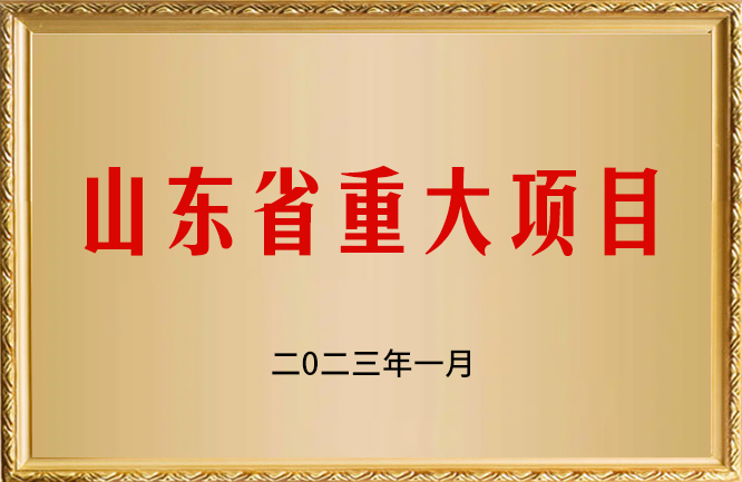 華東榮譽-山東省重大項目